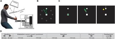 Motivational Modulation of Age-Related Effects on Reaching Adaptation